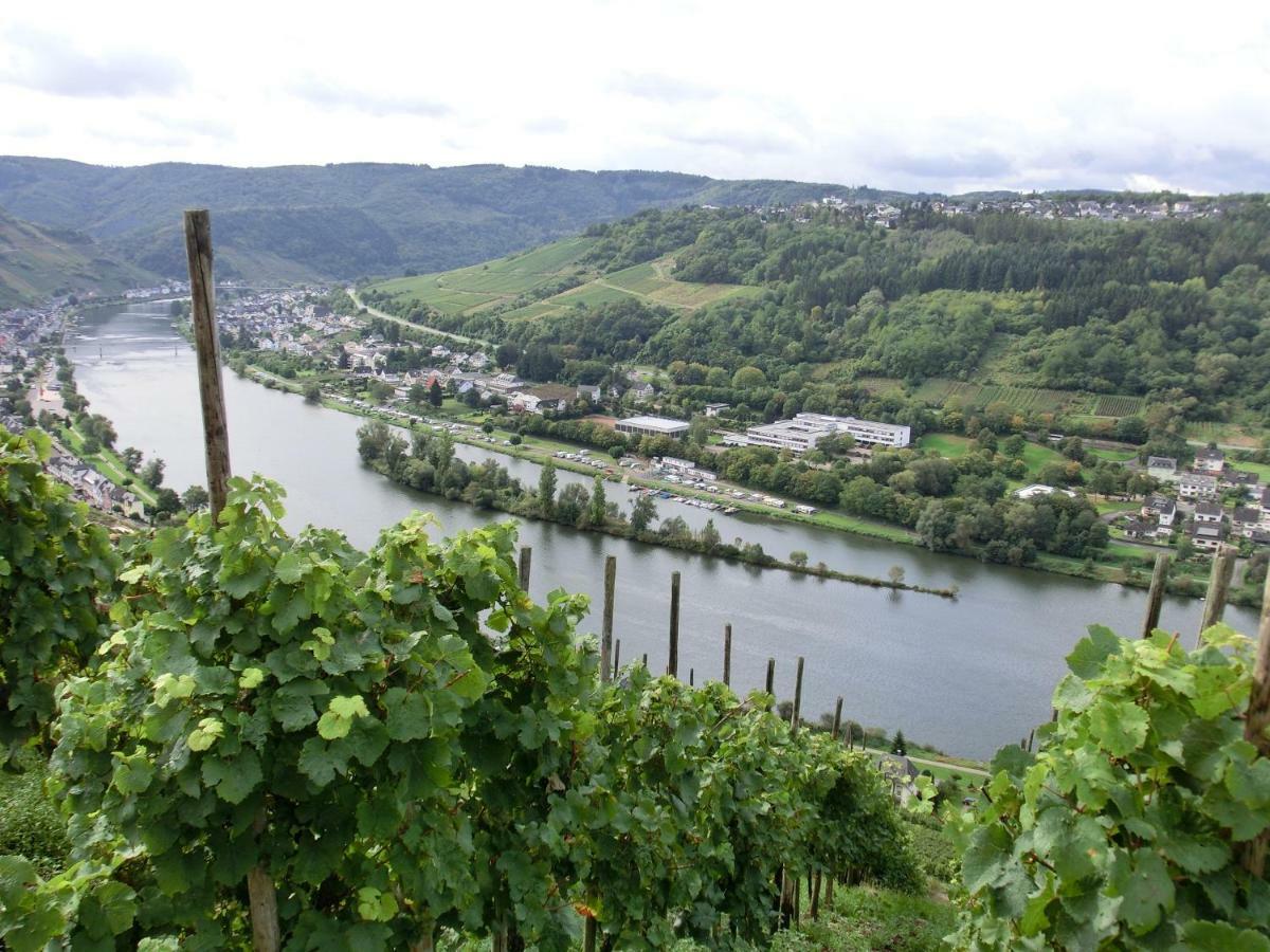 Apartamento Beim Winzer Zell Exterior foto